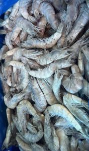 Camarón C/C Grande 1 Kilo