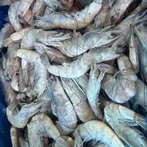 Camarón C/C Grande 1 Kilo