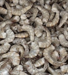 Camarón S/C Mediano 1Kilo